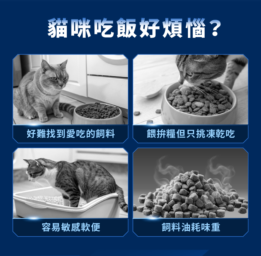cat-glowing-freeze-dried-meal-m-2.jpg
