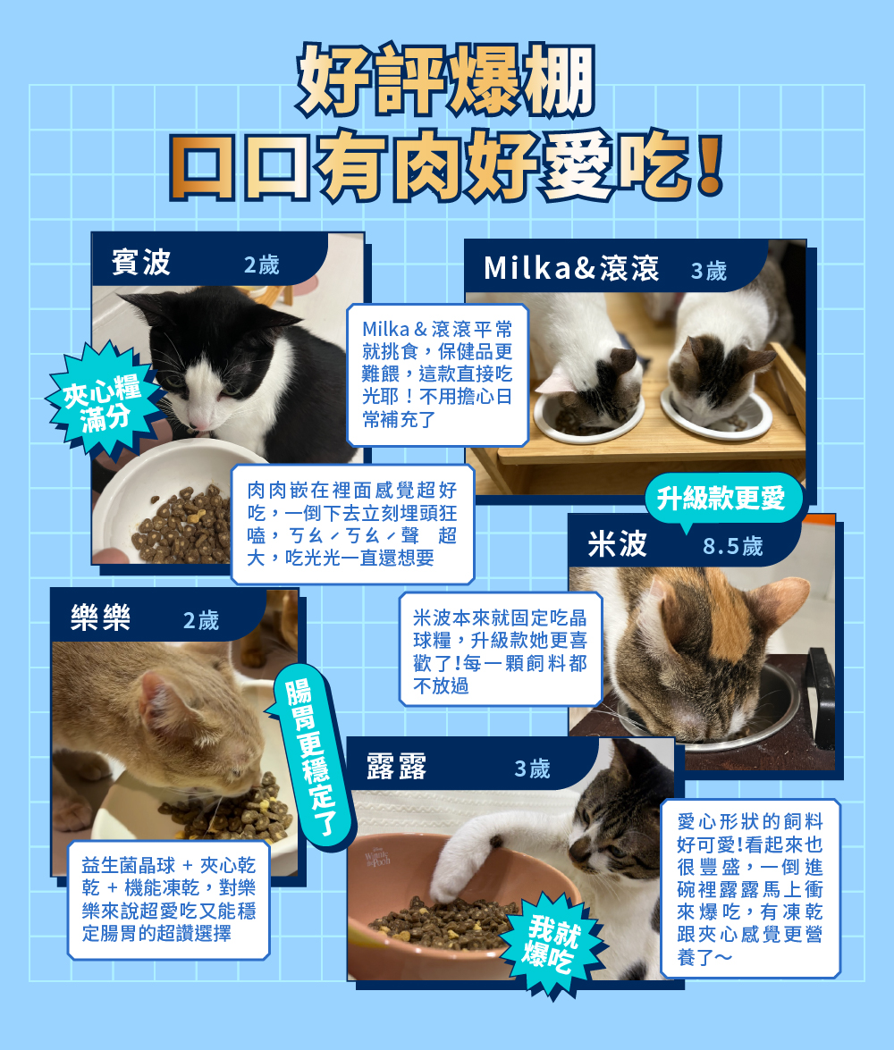 cat-glowing-freeze-dried-meal-m-5.jpg