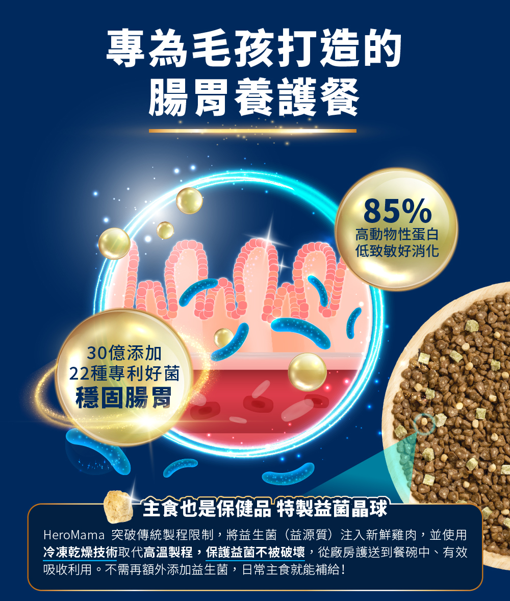 cat-glowing-freeze-dried-meal-m-6.jpg