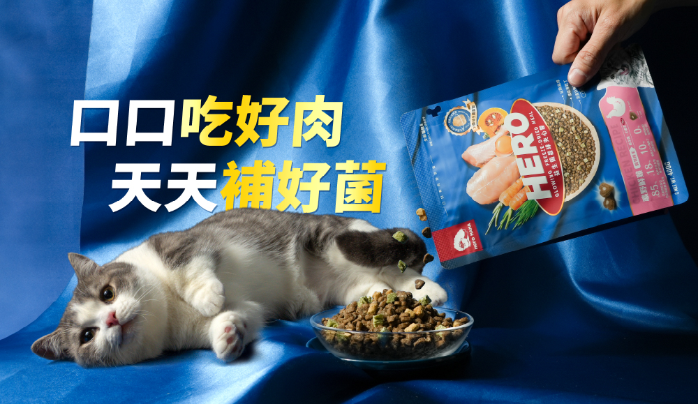cat-glowing-freeze-dried-meal-m-cta.jpg