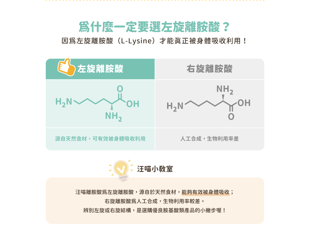 l-lysine-c05.png